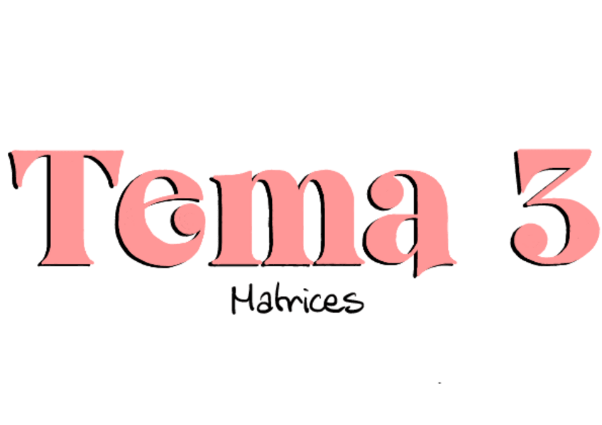 Miniatura del documento T3-Resumen-matrices.pdf