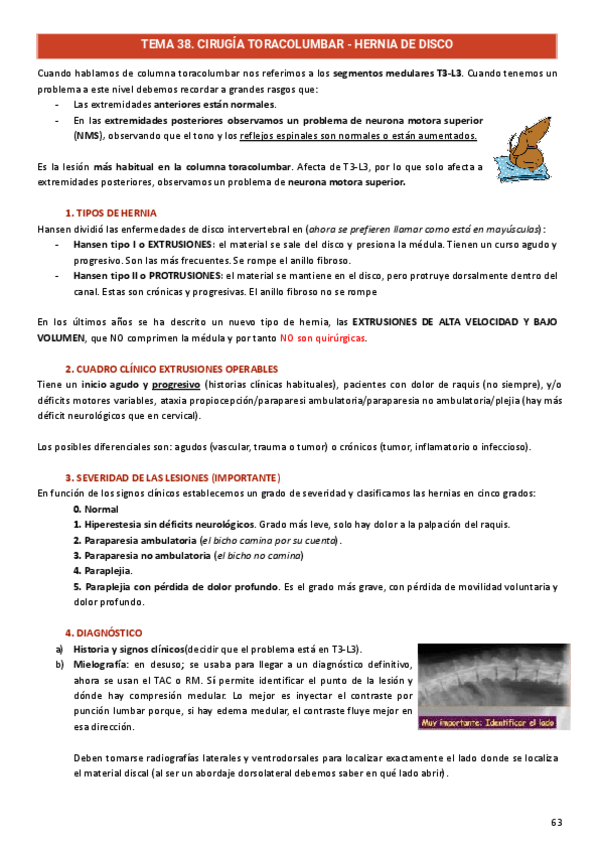 Miniatura del documento Neurocirugia.pdf