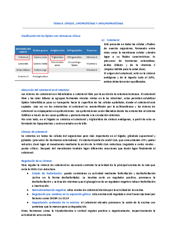 Miniatura del documento TEMA-8-LIPIDOS-LIPOPROTEINAS-Y-APOLIPOPROTEINAS.pdf