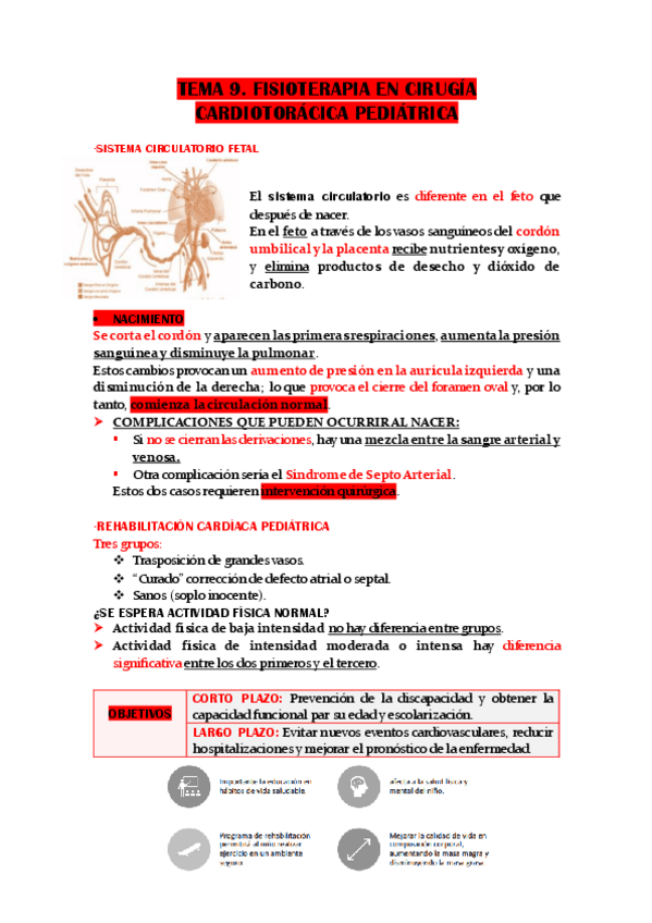 Miniatura del documento TEMA-9.-FISIOTERAPIA-EN-CIRUGIA-CARDIOTORACICA-PEDIATRICA.pdf