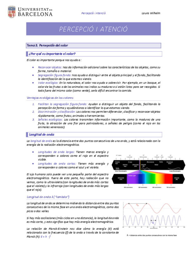 Miniatura del documento Tema-3-Percepcion-del-color.pdf