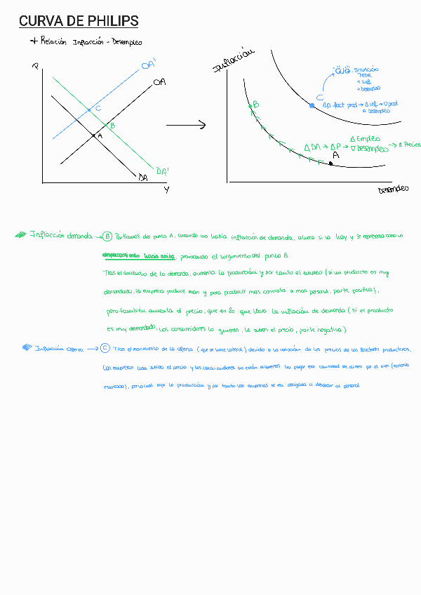 Miniatura del documento curva-de-philips.pdf