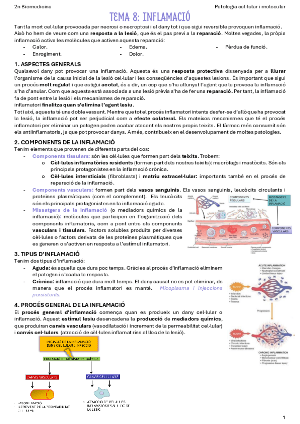 Miniatura del documento T8-Inflamacio.pdf
