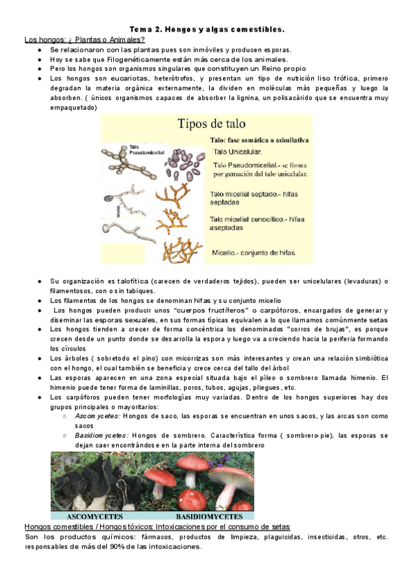 Miniatura del documento Botanica.-Tema-2.pdf