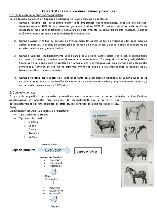 Miniatura del documento O.A-tema-8.-Ganaderia-vacunos-ovinos-y-caprinos.pdf