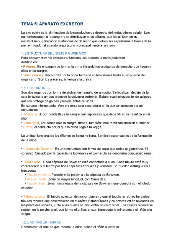 Miniatura del documento Tema-5-procesos.-PDF.pdf