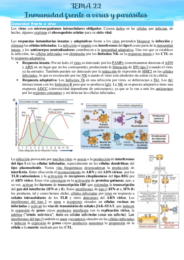 Miniatura del documento I-TEMA-22.pdf