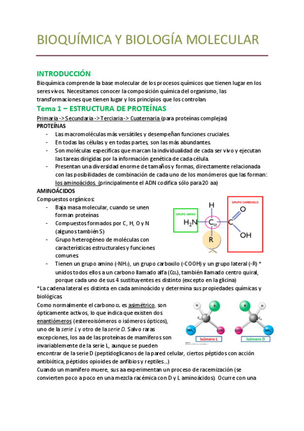 Miniatura del documento Bioquimica-y-biologia-molecular-1o-24-25.pdf