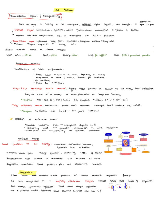 Miniatura del documento Midterm-2-Notes.pdf