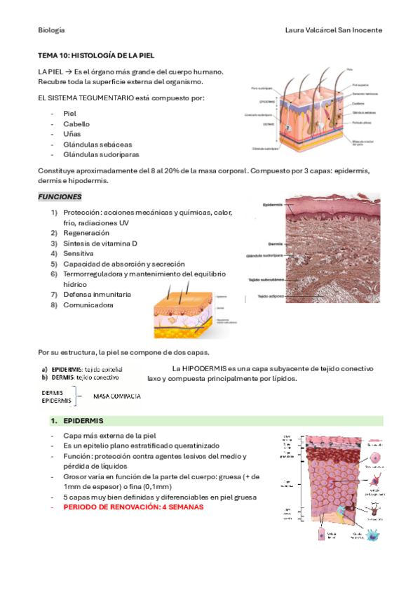 Miniatura del documento PARTE-2-HISTOLOGIA-Histologia-de-la-Piel.pdf