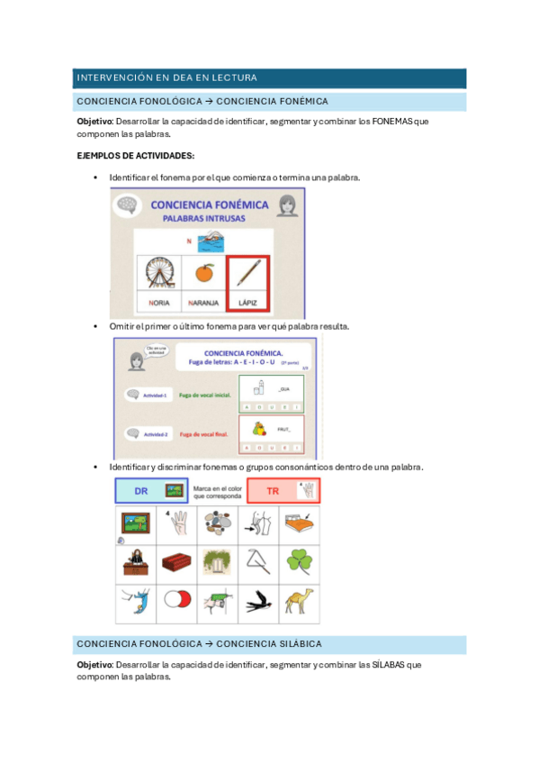Miniatura del documento Tema-4.-Ejemplos-intervencion-DEA-en-lectura.pdf