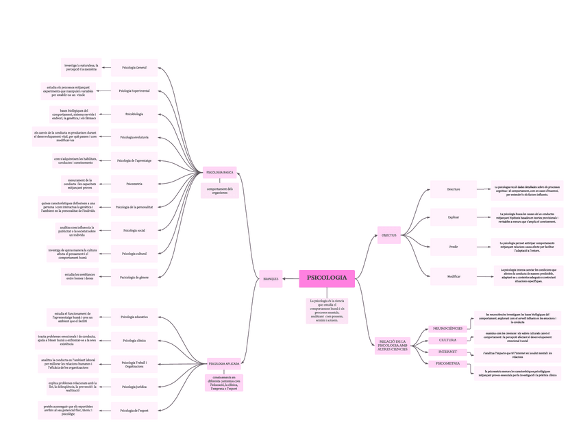 Miniatura del documento Esquema-brancas-psicologia-1batx.pdf