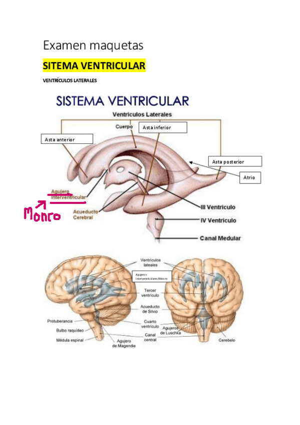 Miniatura del documento Examen-maquetas-todas-las-partes.pdf