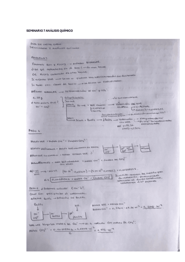 Miniatura del documento SEMINARIO-7-ANALISIS-QUIMICO.pdf
