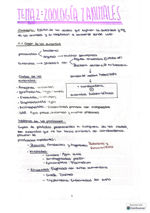 Miniatura del documento tema-2-zoologia.pdf