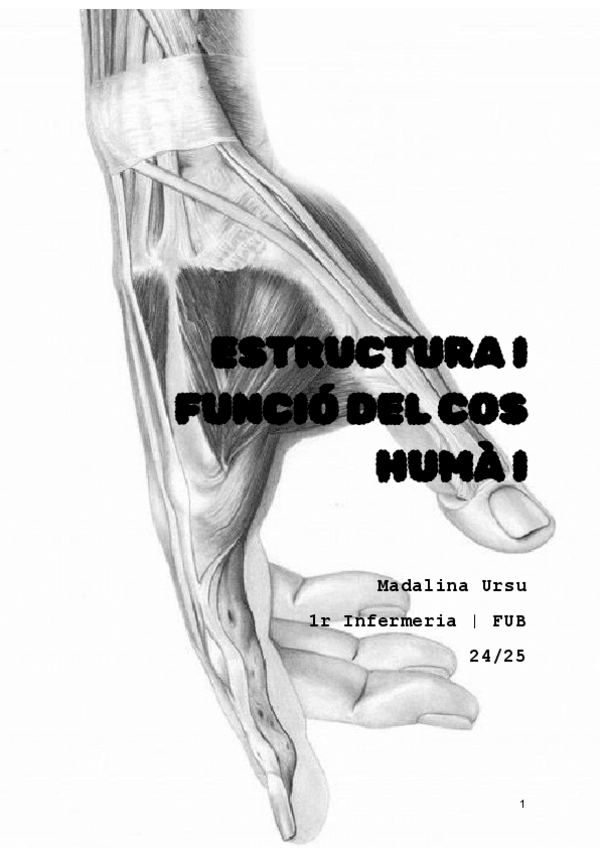 Miniatura del documento PART-1-BLOC-II-i-III-ESTRUCTURA-I-FUNCIO-DEL-COS-HUMA-I-1-35.pdf
