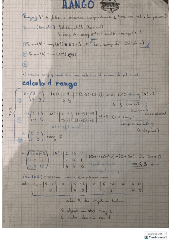 Miniatura del documento Rango-de-matrices.pdf