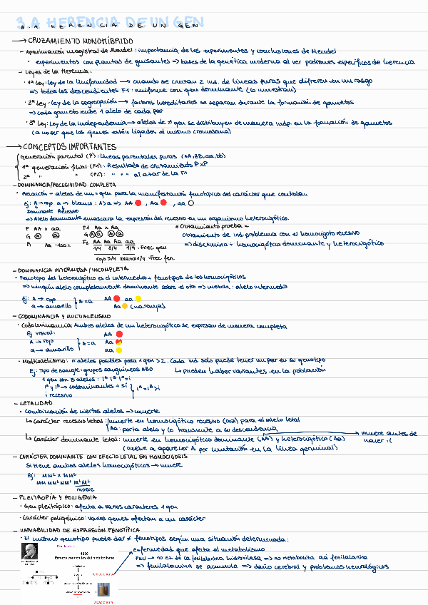 Miniatura del documento BLOQUE-II-T3-ANALISIS-GENETICO-EN-EUCARIOTAS-SUPERIORES.pdf