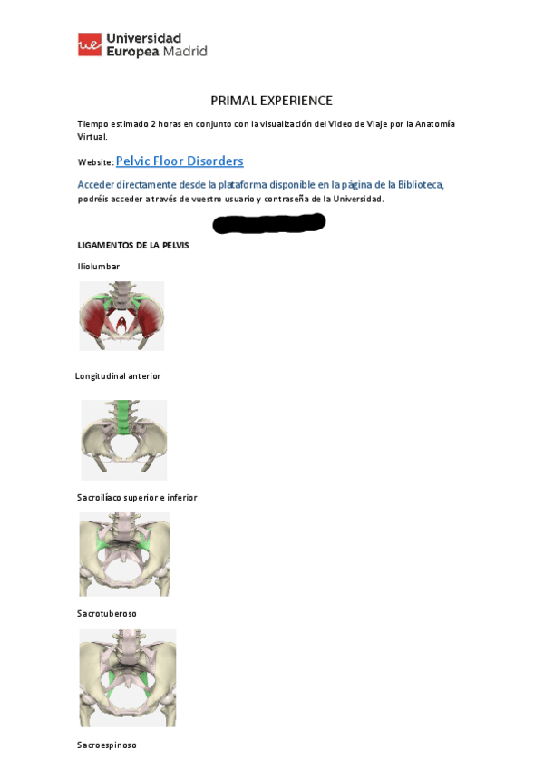 Miniatura del documento Primal-Experience.pdf