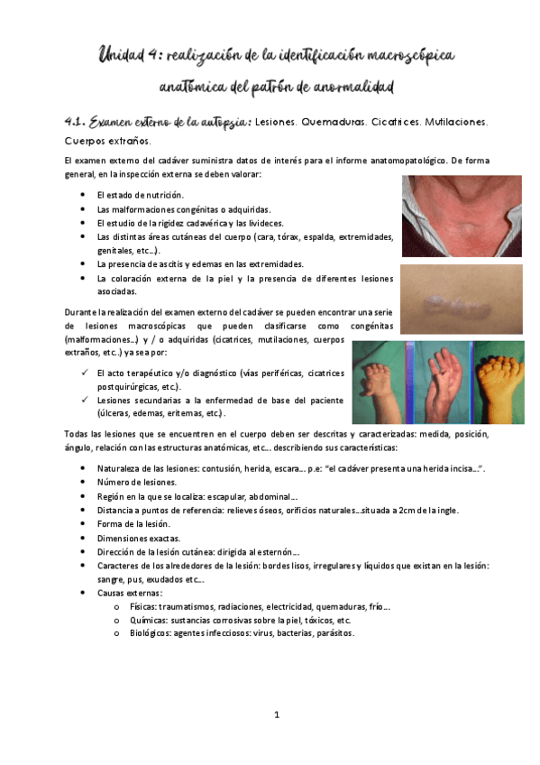 Miniatura del documento ud-4-realizacion-de-la-identificacion-macroscopica-anatomica-del-patron-de-anormalidad.pdf