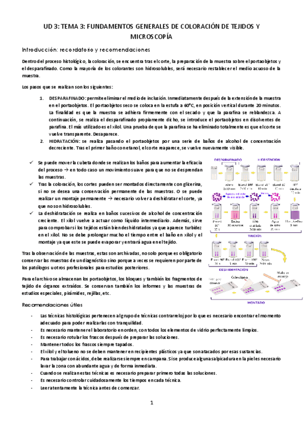 Miniatura del documento UD-3-Fundamentos-generales-de-coloracion-de-tejidos-y-microscopia.pdf