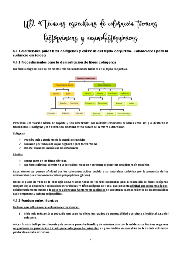 Miniatura del documento UD-4-Tecnicas-histoquimicas-y-enzimohistoquimicas.pdf