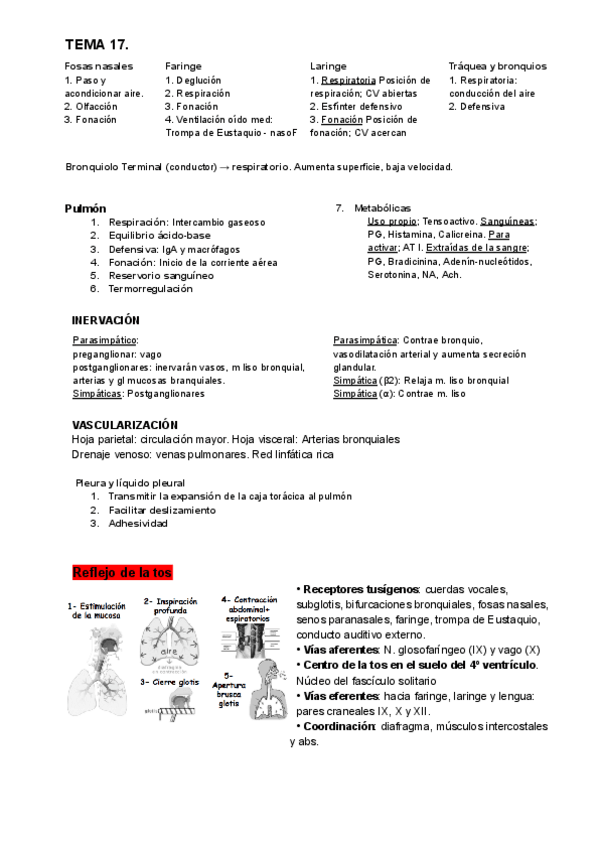 Miniatura del documento respiratorio-version-resumida.pdf