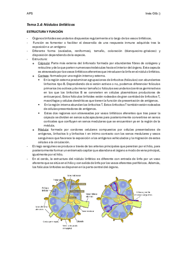 Miniatura del documento BLOQUE-3.4.pdf