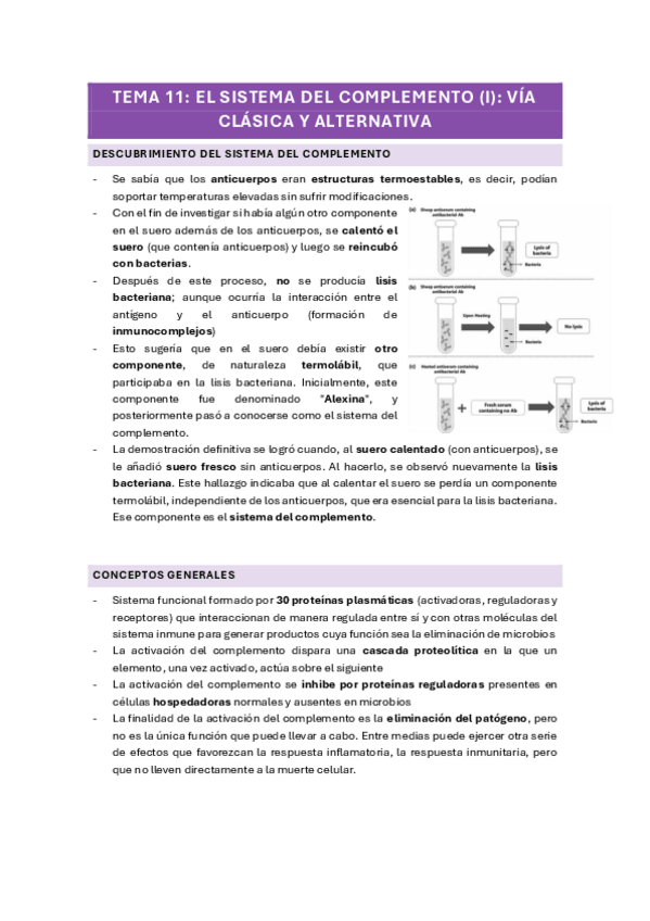 Miniatura del documento TEMA-11-EL-SISTEMA-DEL-COMPLEMENTO-I-VIA-CLASICA-Y-ALTERNATIVA.pdf