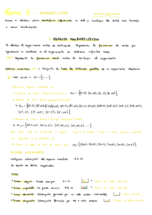 Miniatura del documento Temas-5-y-6-Probabilidad-y-variables-aleatorias.pdf