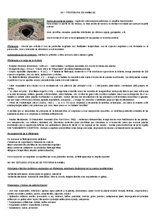 Miniatura del documento Prácticas + seminarios.pdf