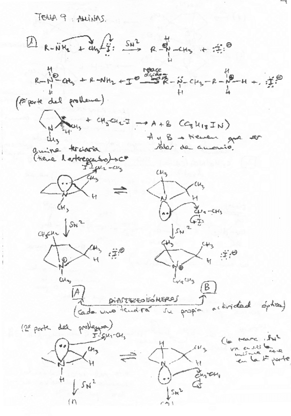 Miniatura del documento QUIMICA-ORGANICAPROBLEMAS-RESUELTOS-AMINAS-T9.pdf