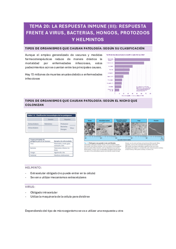 Miniatura del documento TEMA-20-La-Respuesta-Inmune-III-respuesta-frente-a-virusJ-bacteriasJ-hongosJ-protozoos-y-helmintos.pdf