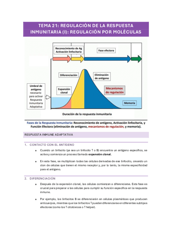 Miniatura del documento TEMA-21-REGULACION-DE-LA-RESPUESTA-INMUNITARIA-I-REGULACION-POR-MOLECULAS.pdf
