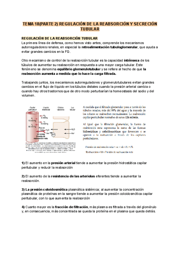 Miniatura del documento TEMA-18PARTE-2-REGULACION-DE-LA-REABSORCION-Y-SECRECION-TUBULAR.pdf