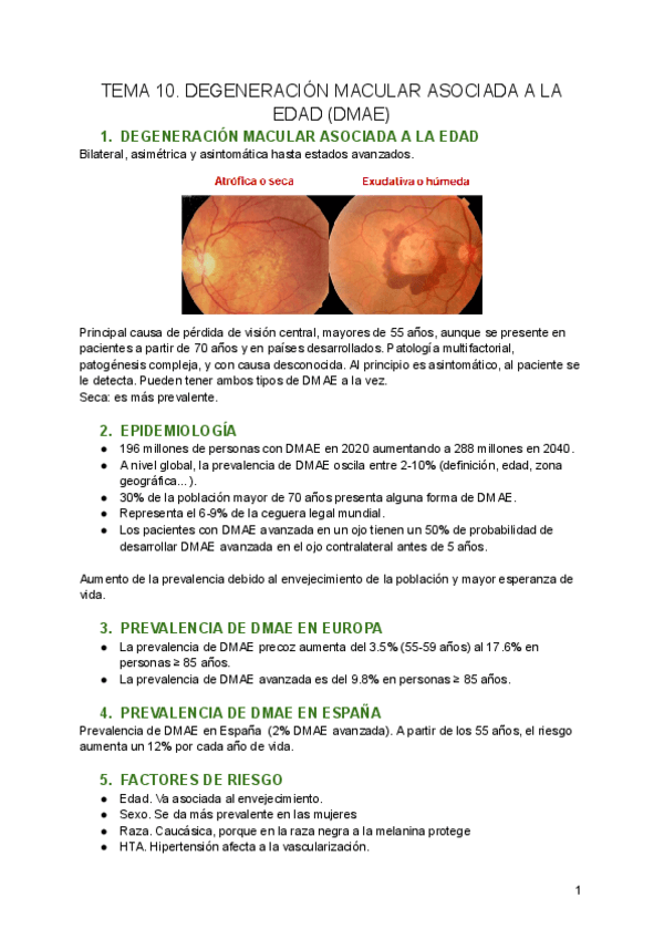 Miniatura del documento TEMA-10.-DEGENERACION-MACULAR-ASOCIADA-A-LA-EDAD-DMAE.pdf
