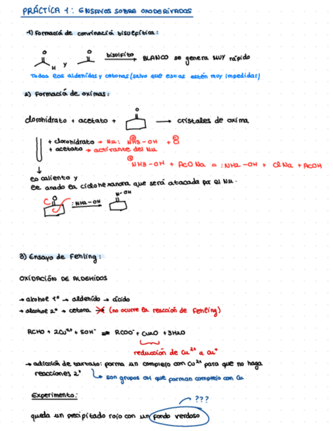 Miniatura del documento Apuntes-De-Practicas-organica.pdf