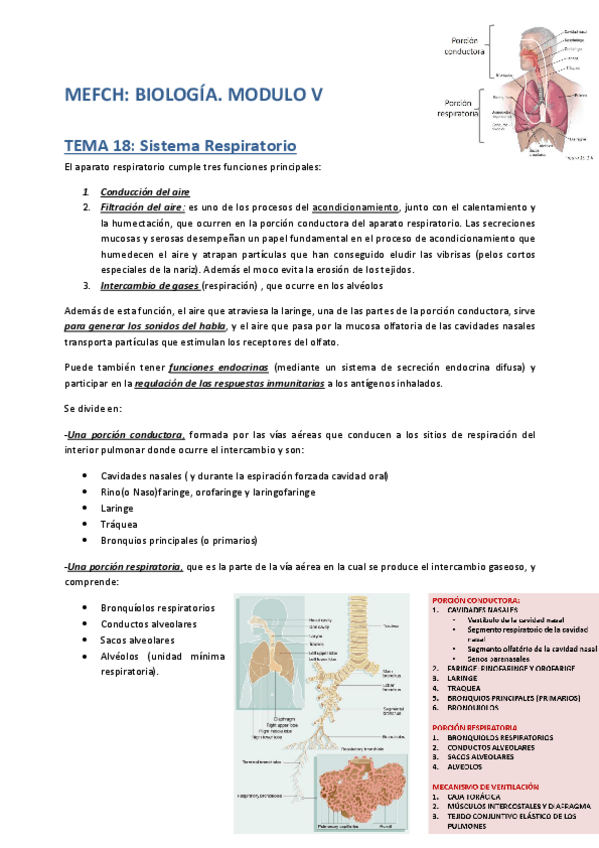 Miniatura del documento mefich.- biología.- modulo 5 (completo).pdf