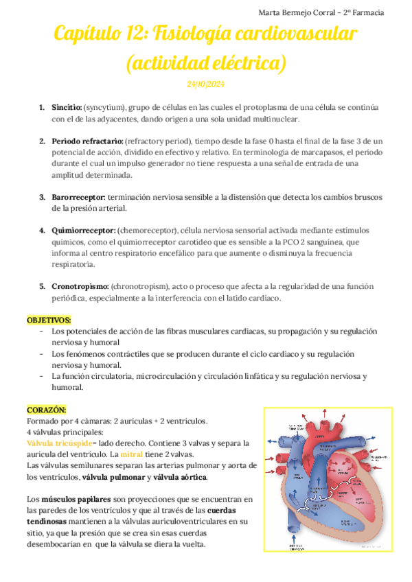 Miniatura del documento Capítulo 12. Fisiología cardiovascular.pdf