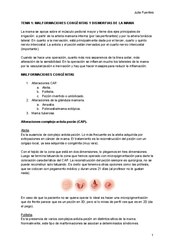 Miniatura del documento 1. Malformaciones congénitas y dismorfias de la mama.pdf
