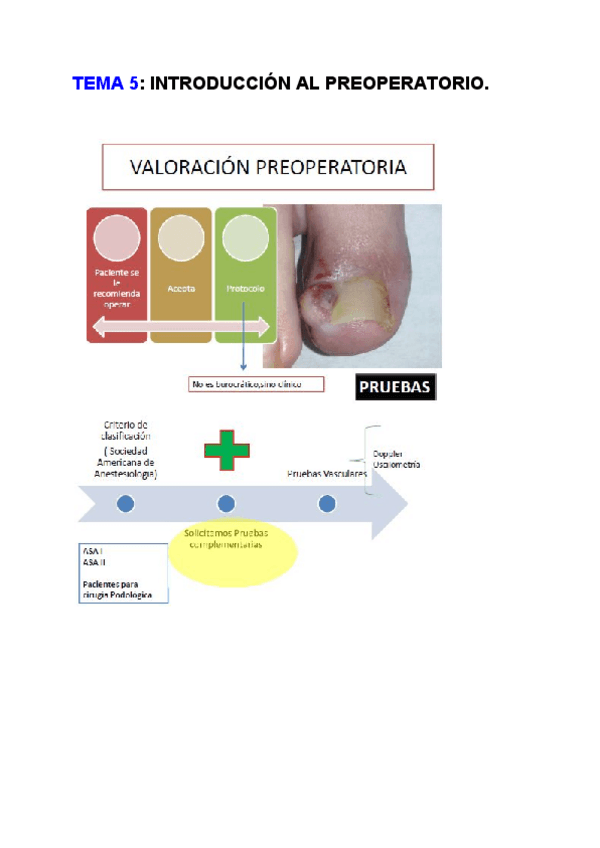 Miniatura del documento TEMA 5_ INTRODUCCIÓN AL PREOPERATORIO.pdf
