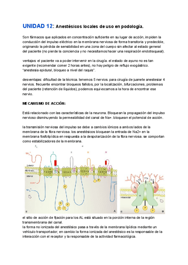 Miniatura del documento UNIDAD 12_ Anestésicos locales de uso en podología.pdf