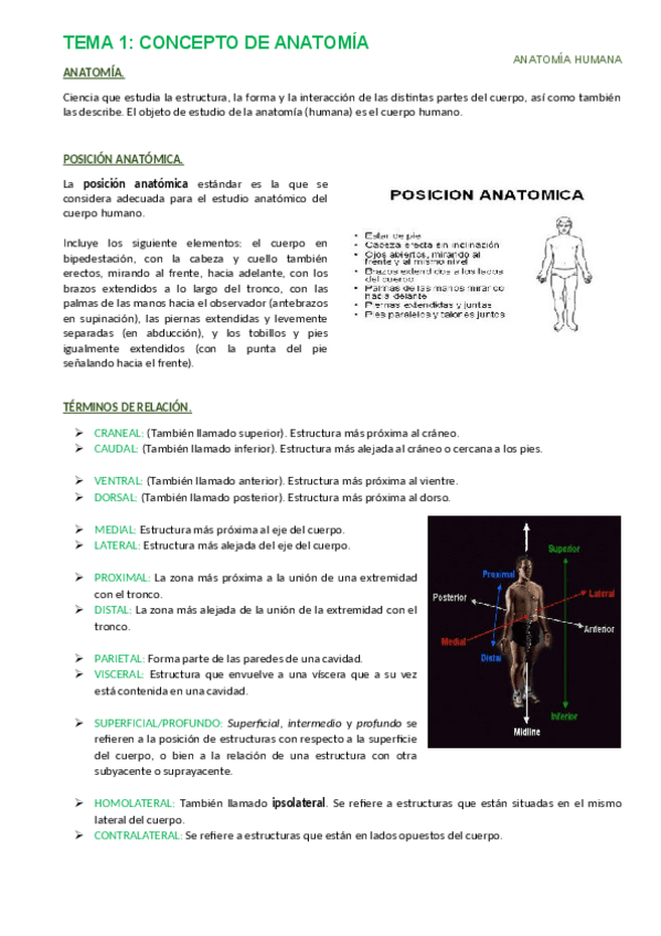 Miniatura del documento Anatomía Temario Completo.pdf