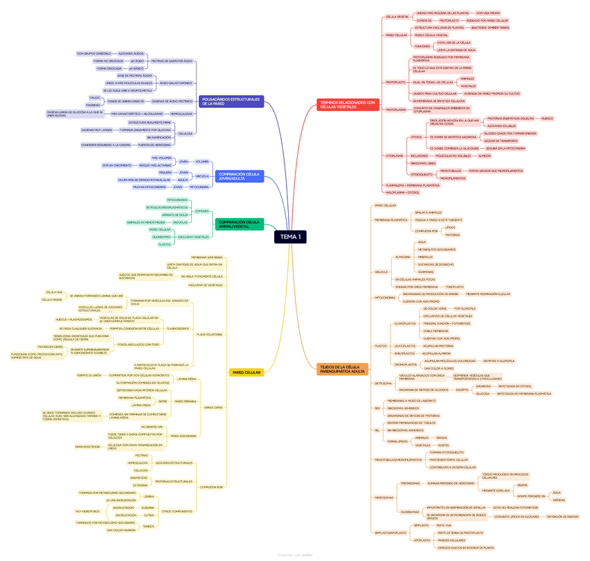 Miniatura del documento TEMA-1.pdf