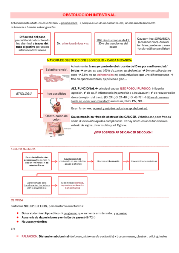 Miniatura del documento Seminario-Obstrucion-intestinal-clau.pdf