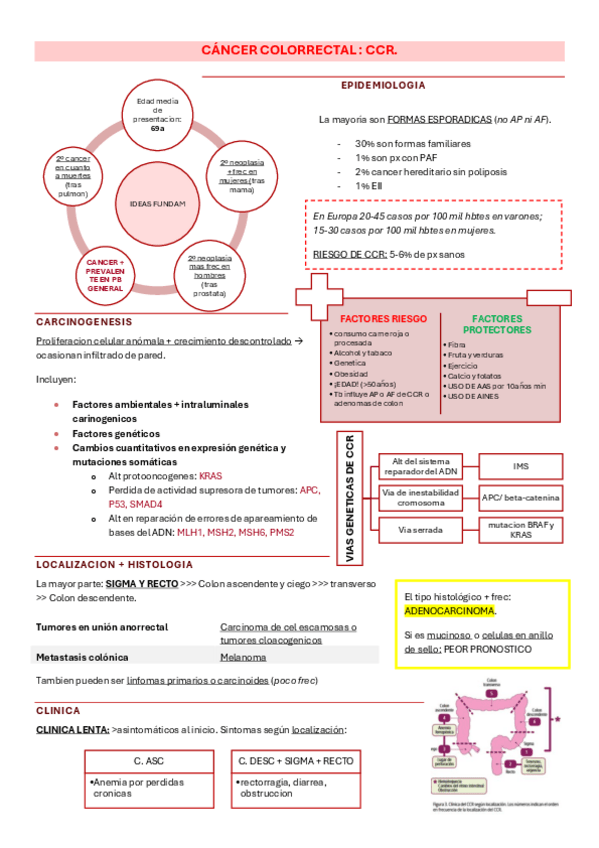Miniatura del documento 20.2-CANCER-COLORRECTAL-clau.pdf