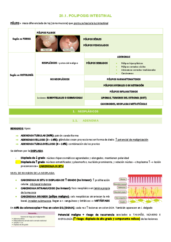 Miniatura del documento 20.1-POLIPOSIS-INTESTINAL.pdf