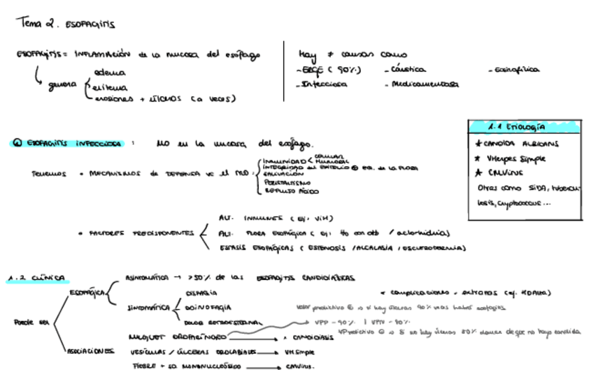 Miniatura del documento 2.1-Esogafitis.pdf