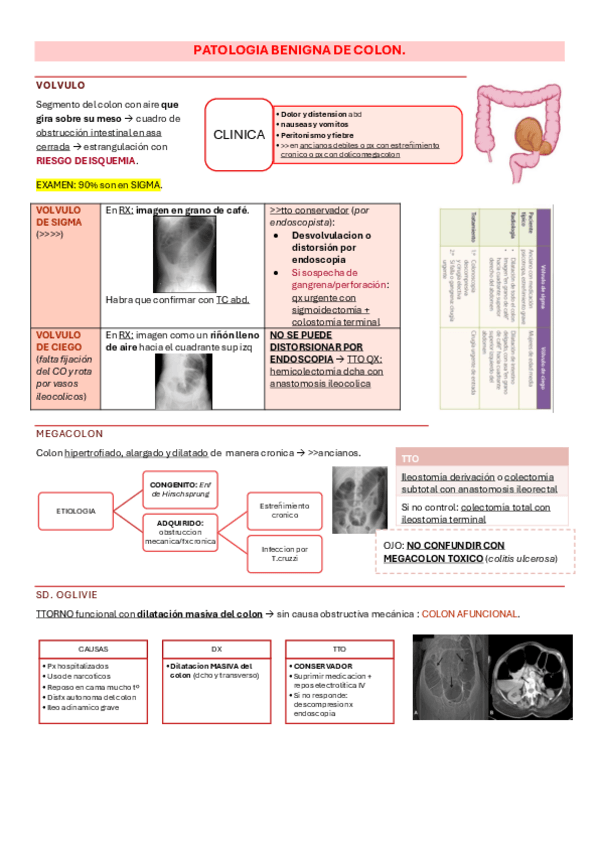 Miniatura del documento 18.2-Pato-benigna-de-colon-clau.pdf
