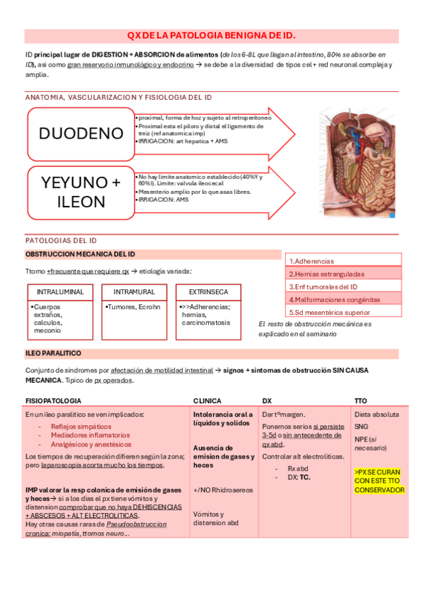 Miniatura del documento 18.1-Qx-de-pato-benigna-ID-clau.pdf